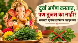 Ganesh Chaturthi 2026: बाप्पाला तुळस वाहू नका असं का म्हणतात? काय सांगते पौराणिक कथा?