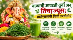 दुर्वा आहे औषधी वनस्पती? ज्यूस पिण्यापूर्वी जाणून घ्या फायदे