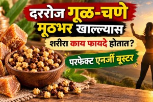 Jaggery Roasted Chana Benefits | Gul Chana Health Benefits | Daily Energy Booster Snack | Ayurvedic Immunity Foods Maharashtra
