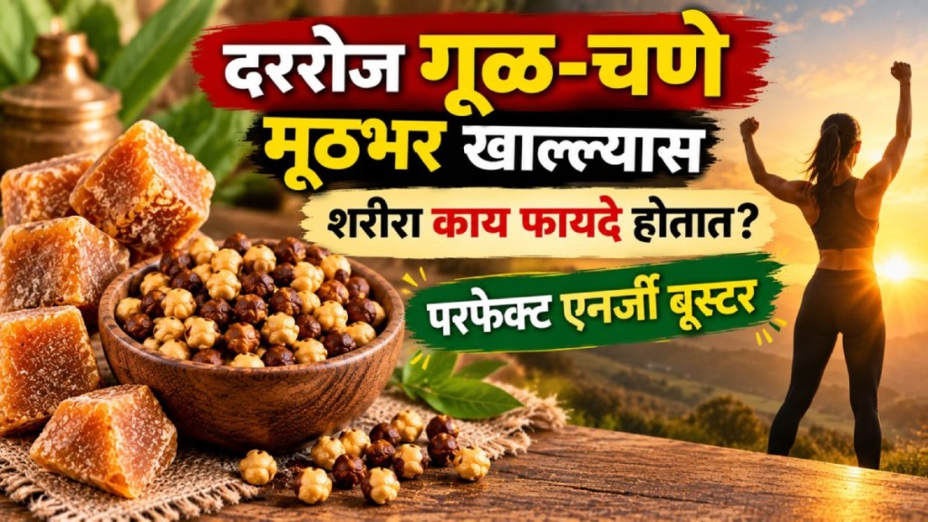 Jaggery Roasted Chana Benefits | Gul Chana Health Benefits | Daily Energy Booster Snack | Ayurvedic Immunity Foods Maharashtra Jaggery Roasted Chana Benefits | Gul Chana Health Benefits | Daily Energy Booster Snack | Ayurvedic Immunity Foods Maharashtra