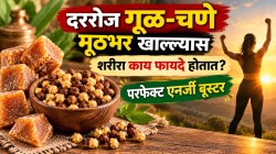 दररोज गूळ-चणे मूठभर खाल्ल्यास शरीराला काय फायदे होतात? परफेक्ट एनर्जी बूस्टर…