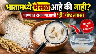 fssai rice adulteration test | how to check plastic rice at home | rice quality check marathi news | fake rice testing method fssai