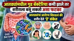 आतड्यांमधील गुड बॅक्टेरिया कमी झाले तर शरीराला बसू शकतो असा फटका; आतड्यांचं आरोग्य बिघडलं की शरीर देते ‘हे’ संकेत…