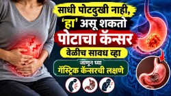 साधी पोटदुखी नाही, ‘हा’ असू शकतो पोटाचा कॅन्सर… वेळीच सावध व्हा;जाणून घ्या गॅस्ट्रिक कॅन्सरची लक्षणे
