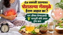 रोज सकाळी उठल्यावर पोटातल्या गॅसमुळे हैराण आहात का? मग औषध घेण्याआधी हे घरगुती सोपे उपाय ट्राय करा…
