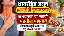 थायरॉईड असून सकाळी ‘ही’ चूक करताय? नाश्त्याच्या ‘या’ सवयी पडतील महागात, पोषक घटकांची कमतरता पडू शकते महागात