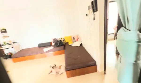 Rs 70K rent for 1 BHK with chawl view