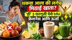 थकवा आला की लगेच मिठाई खाता? थांबा! ‘ही’ ३ घरगुती पेये देतील फ्रेशनेस आणि ऊर्जा