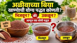 अळीवाच्या बिया खाण्याची योग्य पद्धत कोणती? भिजवून की उकळून? जाणून घ्या सोपी पद्धत