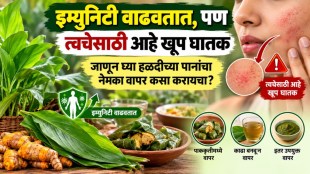 turmeric leaves health benefits | turmeric leaf for skin allergy | ayurvedic home remedies in marathi | turmeric leaves side effects