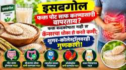 इसबगोल फक्त पोट साफ करण्यासाठी वापरताय? फक्त बद्धकोष्ठता नाही तर कॅन्सरचा धोकाही करते कमी; शुगर-कोलेस्ट्रॉलवरही गुणकारी!