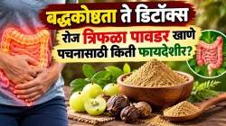 बद्धकोष्ठतेपासून डिटॉक्सपर्यंत; दररोज त्रिफळा पावडरचे सेवन कसे ठरते फायदेशीर? काय सांगतात तज्ज्ञ…