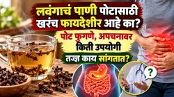 लवंगाचं पाणी पोटासाठी खरंच फायदेशीर आहे का? पोट फुगणे, अपचनावर किती उपयोगी; जाणून घ्या, तज्ज्ञ काय सांगतात?