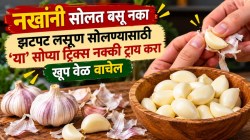 नखांनी सोलत बसू नका; झटपट लसूण सोलण्यासाठी ‘या’ सोप्या ट्रिक्स नक्की ट्राय करा, खूप वेळ वाचेल