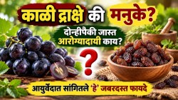 काळी द्राक्षे की मनुके? दोन्हीपैकी जास्त आरोग्यादायी काय? आयुर्वेदात सांगितले ‘हे’ जबरदस्त फायदे