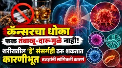 कॅन्सरचा धोका फक्त तंबाखू-दारूमुळे नाही! शरीरातील ‘हे’ संसर्गही ठरू शकतात कारणीभूत, तज्ज्ञांनी सांगितली कारणं