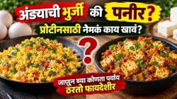 अंड्याची भुर्जी की पनीर? प्रोटीनसाठी नेमकं काय खावं? जाणून घ्या, कोणता पर्याय ठरतो फायदेशीर