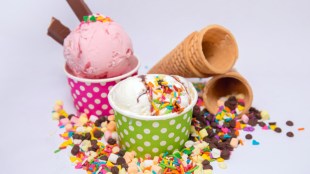 World Weirdest Ice Cream Flavours