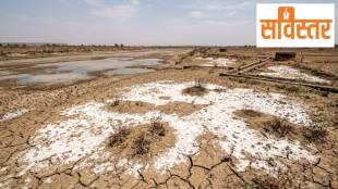 Saline soil and water crisis in the Purna river basin of western Vidarbha