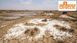 Vidarbha Saline Belt Crisis: सविस्तर: खारपाणपट्ट्यावर संशोधनाची मात्रा निष्फळ!