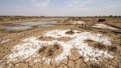Vidarbha Saline Belt Crisis: सविस्तर: खारपाणपट्ट्यावर संशोधनाची मात्रा निष्फळ!