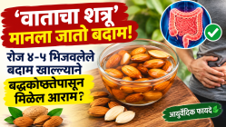 ‘वाताचा शत्रू’ मानला जातो बदाम! रोज ४-५ भिजवलेले बदाम खाल्ल्याने बद्धकोष्ठतेपासून मिळेल आराम? डॉक्टरांकडून जाणून घ्या योग्य पद्धत