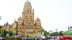 गणेशोत्सव मंडळाच्या स्वयंसेवकांना गिरवावे लागणार आपत्कालीन व्यवस्थापनाचे धडे; उत्सव निर्विघ्नपणे पार पाडण्यासाठी महापालिकेचा उपक्रम