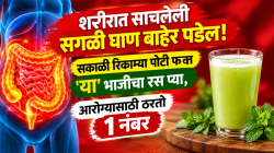 शरीरात साचलेली सगळी घाण बाहेर पडेल! सकाळी रिकाम्या पोटी फक्त ‘या’ भाजीचा रस प्या, आरोग्यासाठी ठरतो १ नंबर