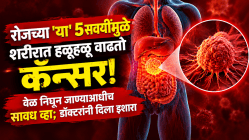 रोजच्या ‘या’ ५ सवयींमुळे शरीरात हळूहळू वाढतो कॅन्सर! वेळ निघून जाण्याआधीच सावध व्हा; डॉक्टरांनी दिला इशारा