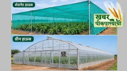 खबर पीक पाण्याची: संरक्षित शेतीच्या निकडीकडे केंद्र, राज्य सरकारचे दुर्लक्ष का ?