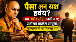 पैसा अन् यश हवंय? मग ‘या’ ४ गोष्टी नक्की करा; रातोरात बदलेल आयुष्य, चाणक्यांनी सांगितला मार्ग