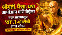 श्रीमंती, पैसा, यश आपोआप मागे येईल! फक्त आजपासून ‘या’ ३ गोष्टींची लाज सोडा; चाणक्यांनी सांगितलं सीक्रेट