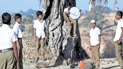 तुझ्या आयला : शिव्यांमधून उमगणारं जगणं