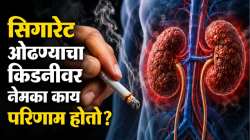 सिगारेट ओढण्याचा किडनीवर नेमका काय परिणाम होतो? कोणत्या समस्या उद्धवतात; वाचा, डॉक्टरांचे मत…