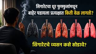 Cigarette Smoke Lungs Clearance Time Analysis | सिगारेटचा धूर फुफ्फुस आरोग्य बातमी