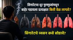 सिगारेटचा धूर फुफ्फुसांतून बाहेर पडायला नक्की किती दिवस लागतात? डॉक्टरांचा धक्कादायक खुलासा