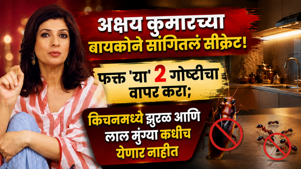 how to get rid of cockroaches ants from kitchen natural spray home remedy twinkle khanna akshay kumar how to get rid of cockroaches ants from kitchen natural spray home remedy twinkle khanna akshay kumar