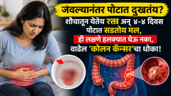 जेवल्यानंतर पोटात दुखतंय? शौचातून येतेय रक्त अन् ४-४ दिवस पोटात सडतोय मल, ही लक्षणे हलक्यात घेऊ नका, वाढेल ‘कोलन कॅन्सर’चा धोका!