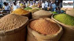 Pulses Price Hike : चणे, तूर, मूग, वाटाणे महागले; दसरा-दिवाळीच्या तोंडावर डाळींचे दरही कडाडणार? कारण काय?