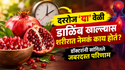 रोज फक्त ‘या’ वेळी खा डाळिंब! शरीरात होतात ‘हे’ ६ मोठे बदल; डॉक्टरांनी सांगितले जबरदस्त फायदे
