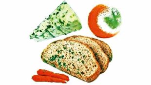 food-spoilage-in-summer-science-causes-prevention-kutuhal