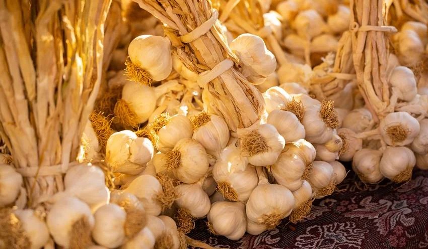 Garlic City of India
