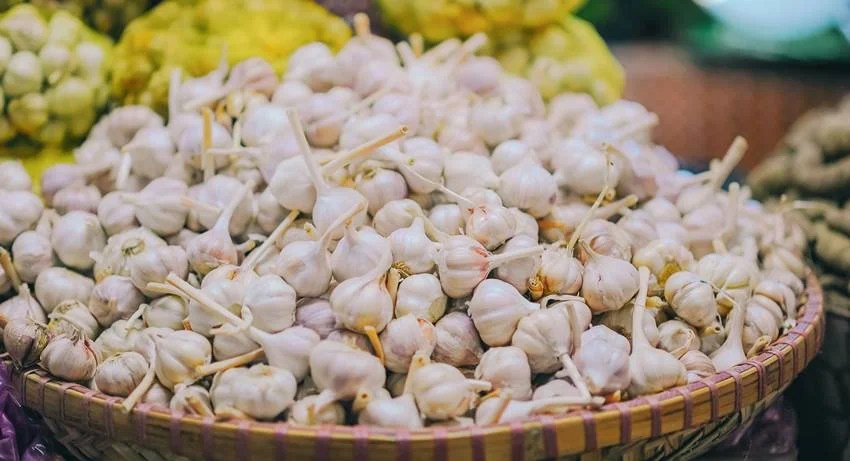 Garlic City of India