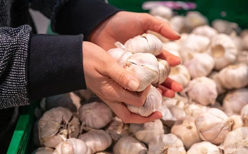Garlic City of India