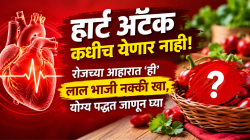 हार्ट अटॅक कधीच येणार नाही! रोजच्या आहारात ‘ही’ लाल भाजी नक्की खा, योग्य पद्धत जाणून घ्या