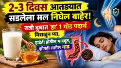 २-३ दिवस आतड्यात सडलेला मल निघेल बाहेर! रात्री दुधात ‘हा’ १ गोड पदार्थ मिसळून प्या, हाडेही होतील मजबूत, झोपही लागेल गाढ
