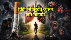 विडी-सिगारेटचे व्यसन कसे सोडावे? डॉक्टरांचा ‘हा’ सल्ला कसा ठरतोय प्रभावी?
