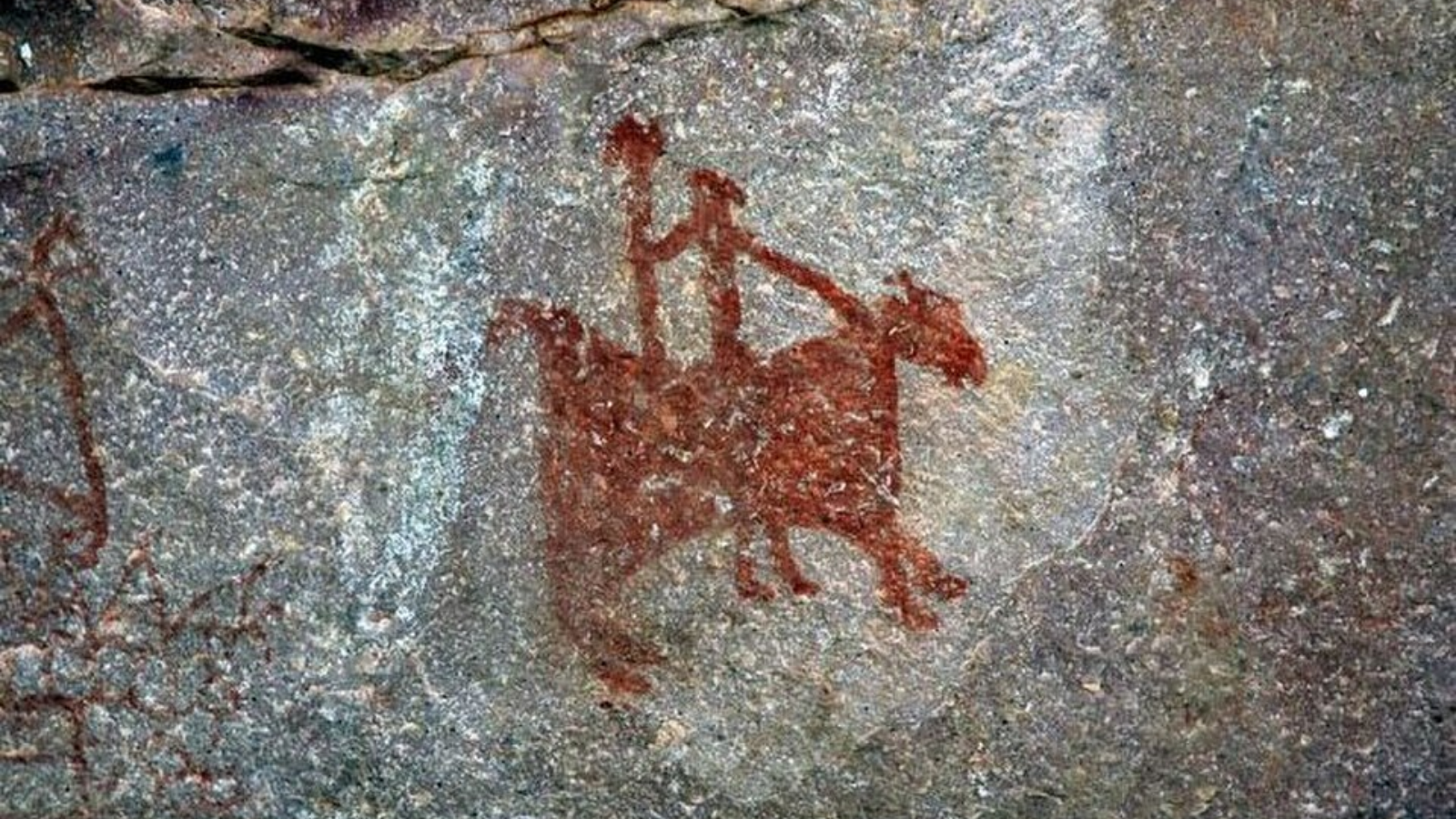 travel