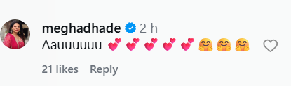 megha dhade comment zee marathi usha nadkarni