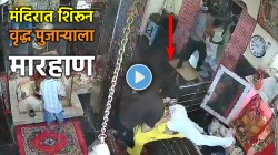 Video: पूजेच्या मोठ्या आवाजामुळे राग आलेल्या तरुणांची मंदिरात शिरून वृद्ध पुजाऱ्याला मारहाण, जयपूरमध्ये दोघांना अटक!